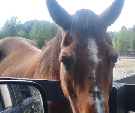 East Fork State Park Campgrounds