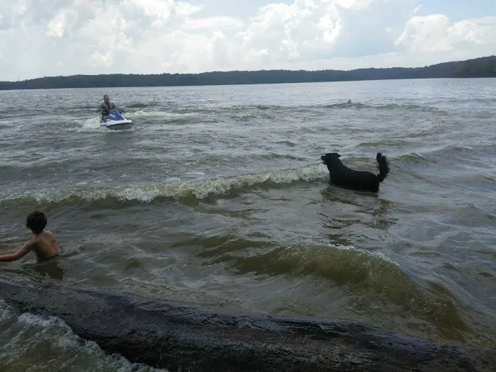 East Fork State Park Campgrounds Picture 5