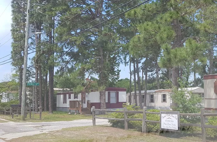 Pageland Mobile Home Park Picture 2
