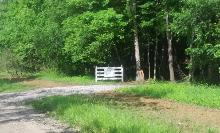 Todds Fork Adventures Picture 4