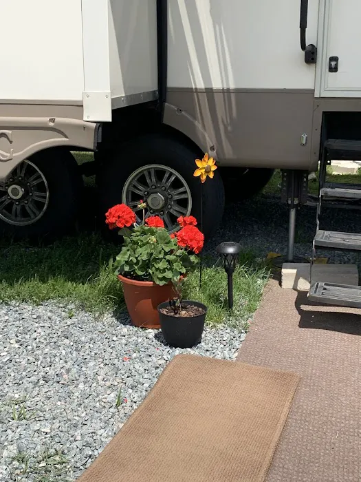 Cluster Springs RV Park Picture 2