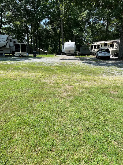 Cluster Springs RV Park Picture 8