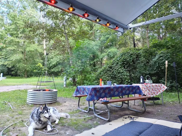 Hayes State Park Campground-East Loop Picture 1