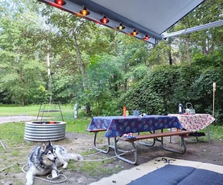Hayes State Park Campground-East Loop