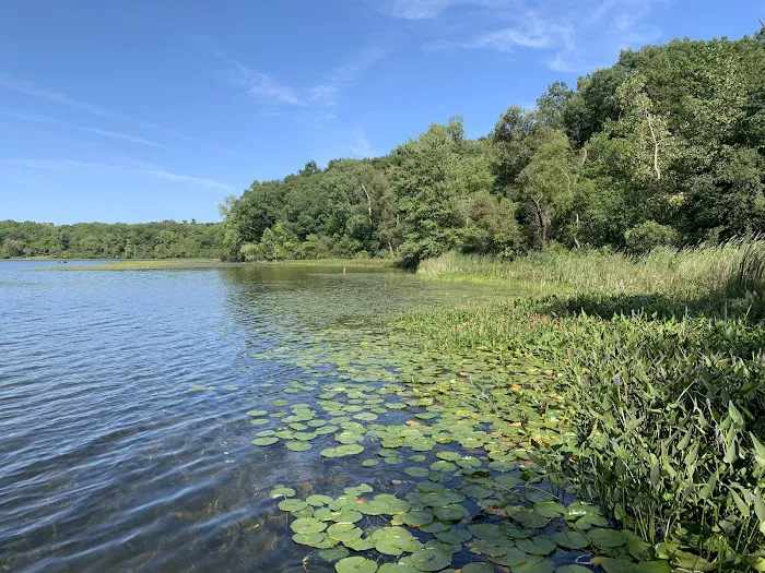 Hayes State Park Campground-East Loop Picture 10
