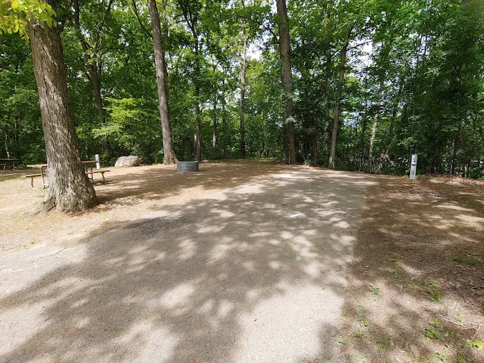 Hayes State Park Campground-West Loop Picture 4