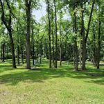 Camp Killarney