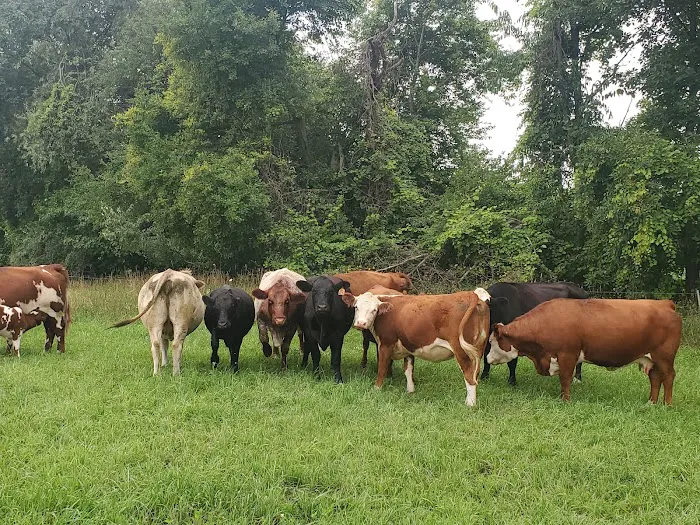 Freeway Farms Picture 1