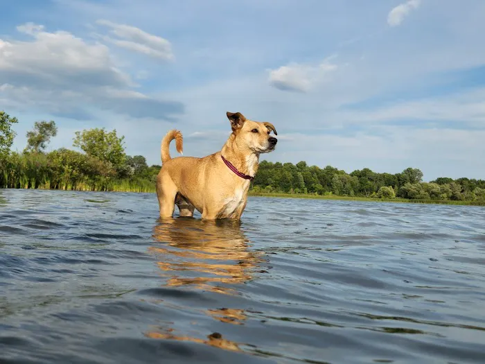 Vineyard Lake Picture 5