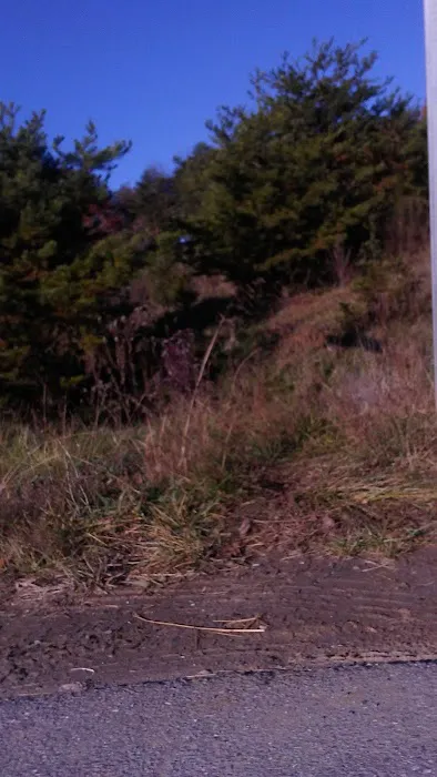 Suburban Trailer Town Inc Picture 1