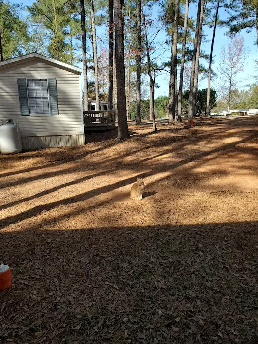 The Point RV at Lake Hartwell Picture 6