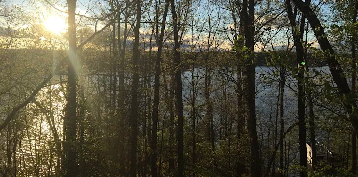 Little Creek RV and Tiny House Resort Picture 1