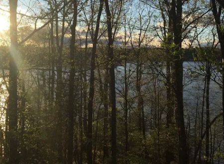 Little Creek RV and Tiny House Resort