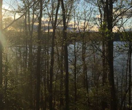 Little Creek RV and Tiny House Resort