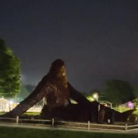 Celina fair grounds ico