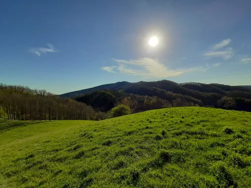Clinch Mountain RV Park Picture 5
