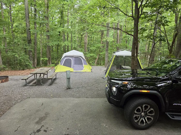 McDowell Campground Picture 7