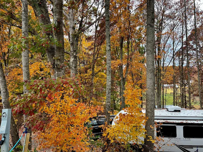 Mountain Ranch RV Park Picture 3