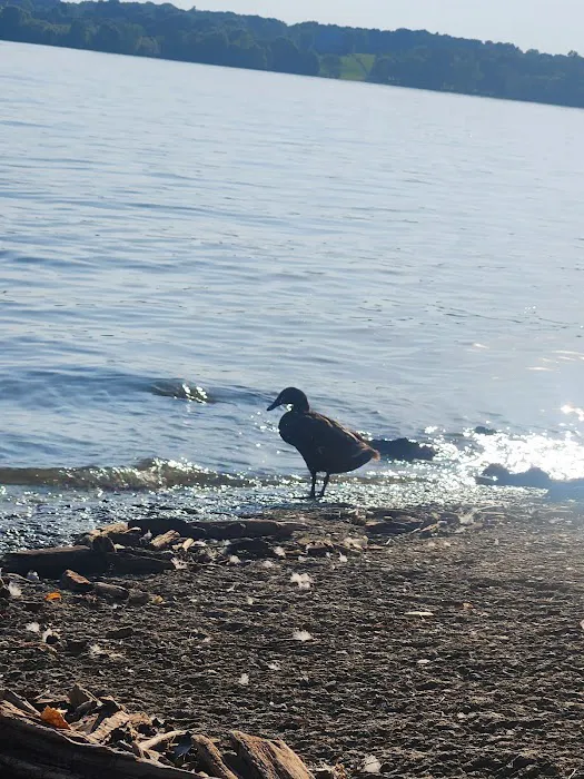 Lake Side RV Park Picture 3