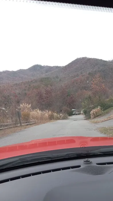 Deer Park Campground Picture 6