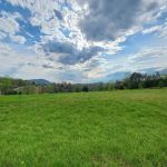Harmony Hill Campground