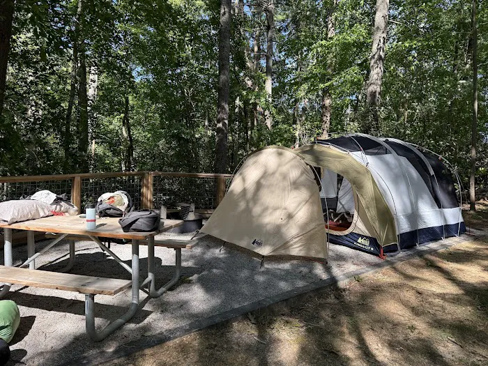 Black Bear Campground and Park Picture 3