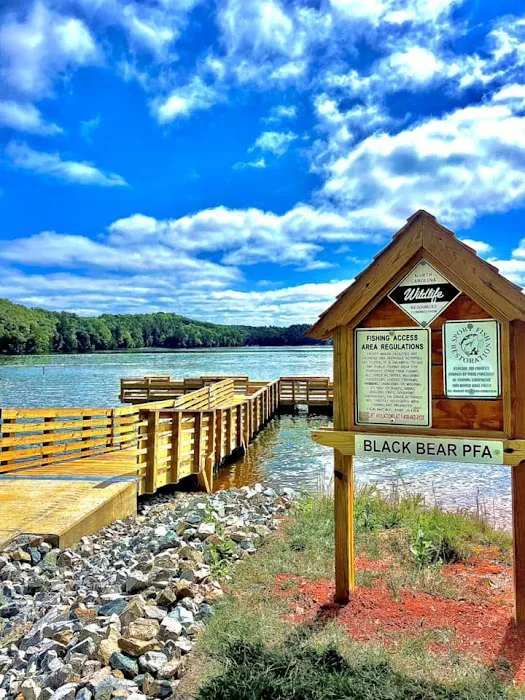 Black Bear Campground and Park Picture 4