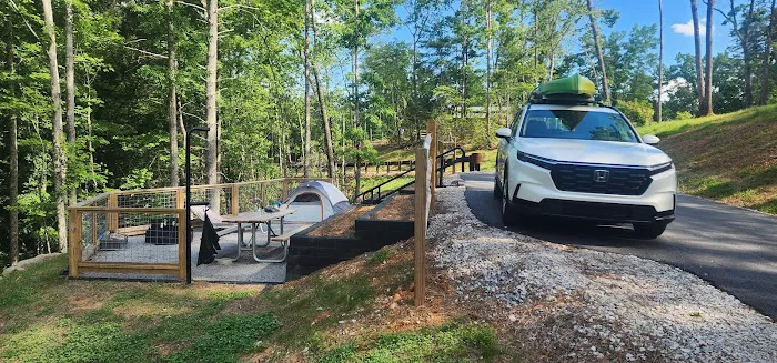Black Bear Campground and Park Picture 6