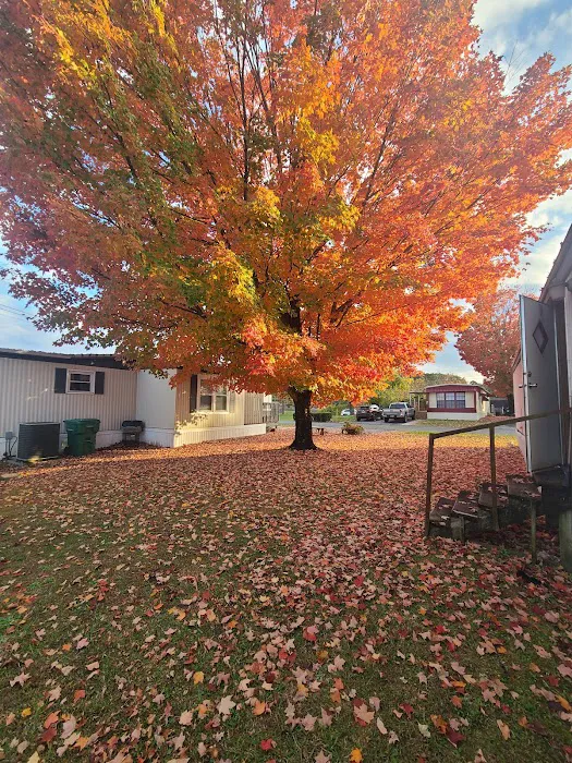 Crestmore Pointe Mobile Home Park Picture 1
