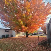 Crestmore Pointe Mobile Home Park ico