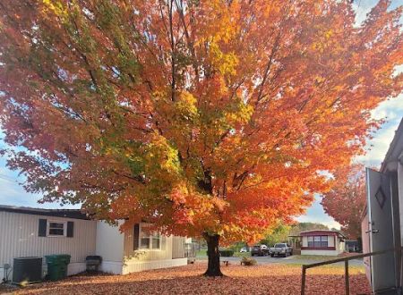 Crestmore Pointe Mobile Home Park