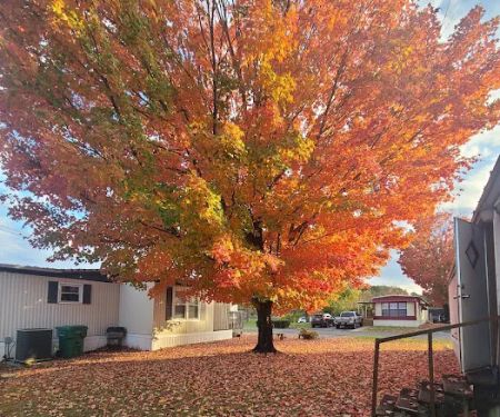 Crestmore Pointe Mobile Home Park