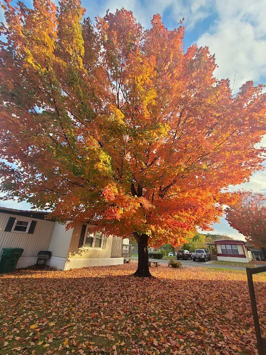 Crestmore Pointe Mobile Home Park Picture 4