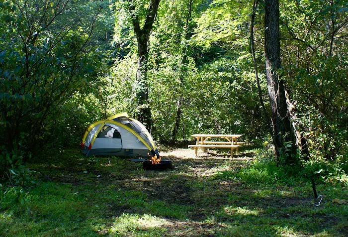 Tanglewood Campground Picture 1
