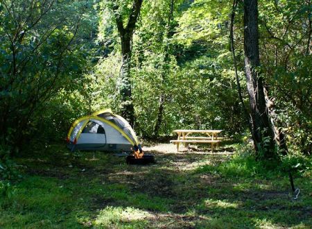 Tanglewood Campground