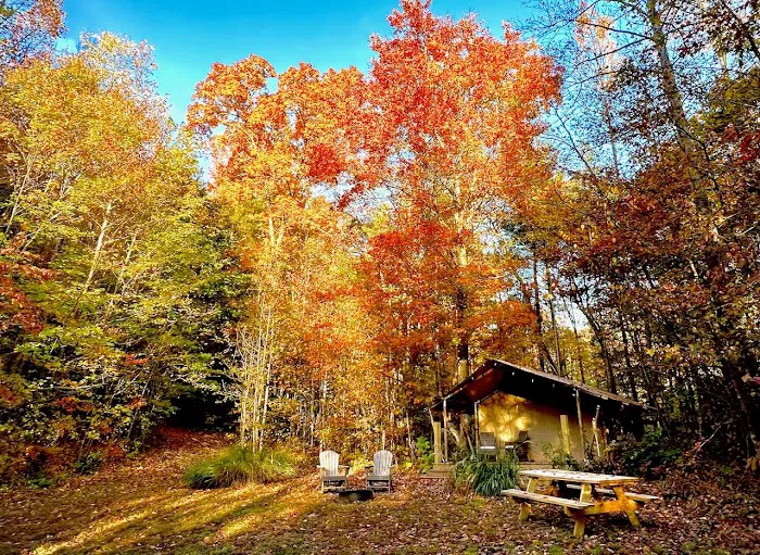 Tanglewood Campground Picture 3