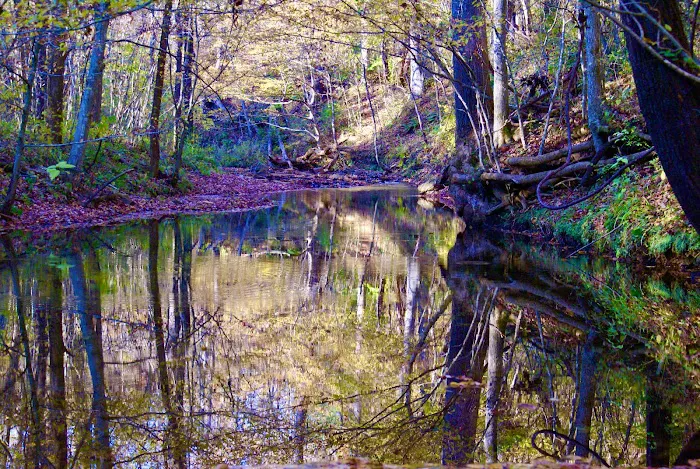 Tanglewood Campground Picture 6