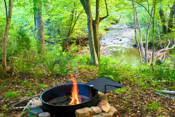 Tanglewood Campground Picture 5