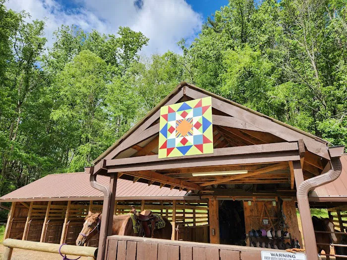 Springmaid Mountain Campground Picture 5