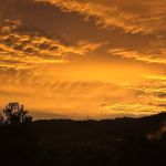 Armstrong Creek RV Park
