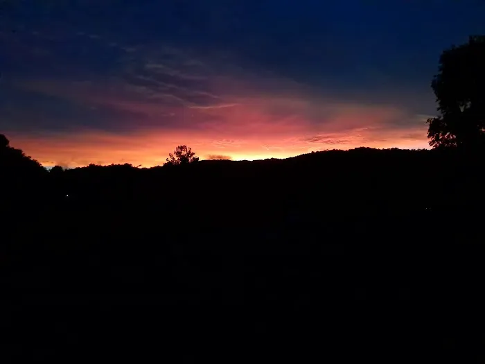 Armstrong Creek RV Park Picture 4