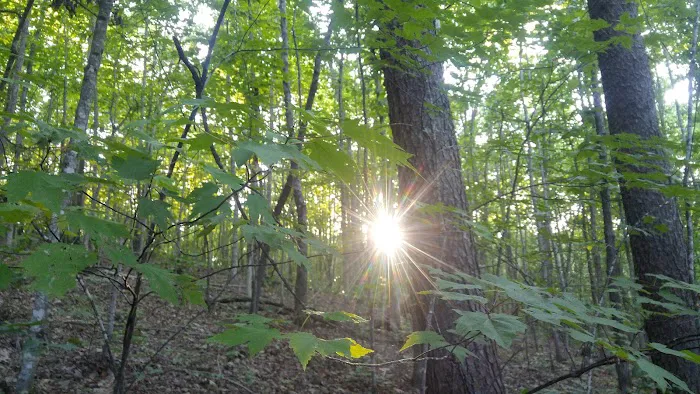 Ldma Vein Mountain, NC Picture 6