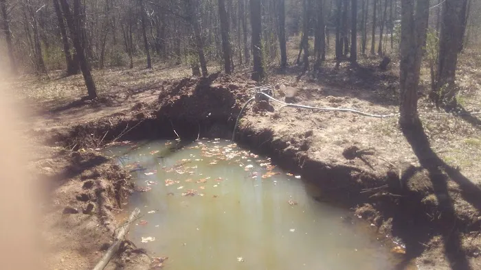 Ldma Vein Mountain, NC Picture 3