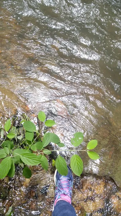 Ldma Vein Mountain, NC Picture 9