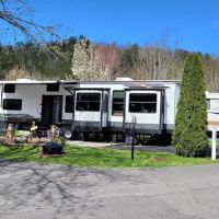 Miss Daisy's Tennessee Rentals ico