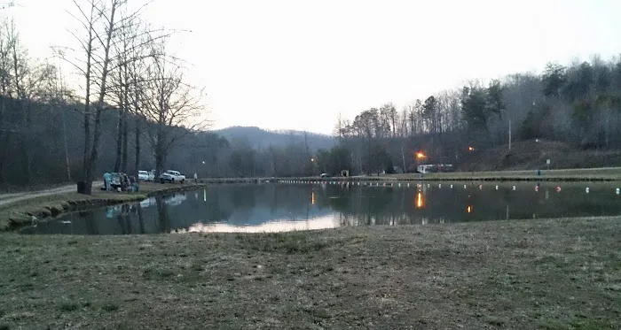 Vein Mountain Gold Camp & Carolina Emerald Mine Picture 7