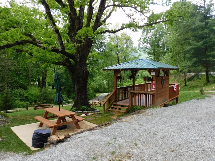 Deer Springs RV Park Picture 3