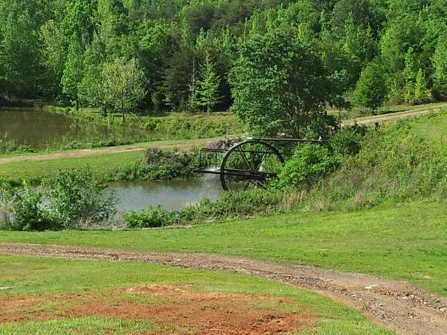 Broad River Camping & RV Park Picture 4