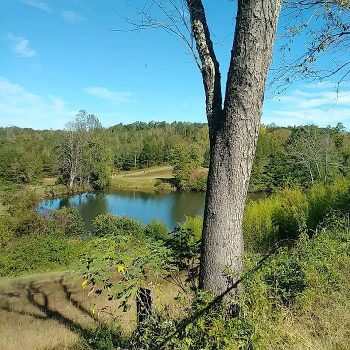 Broad River Camping & RV Park Picture 6