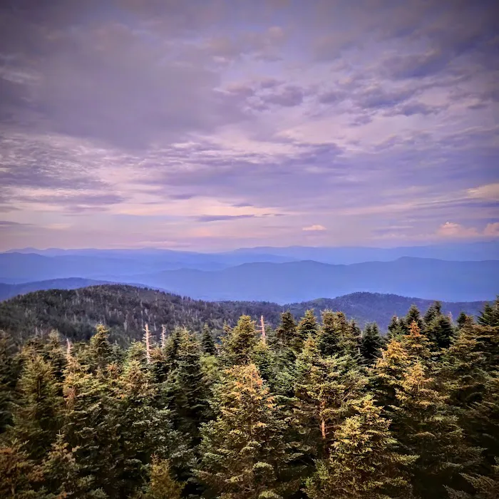 Bryson City RV Picture 4